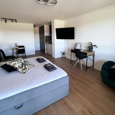 Mit Gruener Aussicht Im Schwarzwald Apartment
