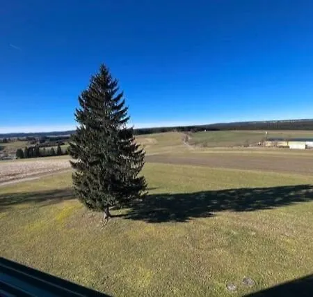 Mit Gruener Aussicht Im Schwarzwald * Loeffingen